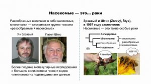 Илья Удалов: Как ломается древо жизни. Молекулярная революция в биологии