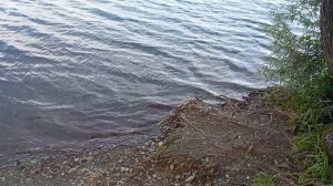 отдыхаем после трудовых будней шульгинское озеро