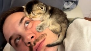 Самый милый КОТЕНОК, неотделимый от человека, которого они любят