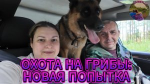 На поиски грибов.Что удалось найти