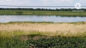 Получили подарки от подписчиков/закупились продуктами