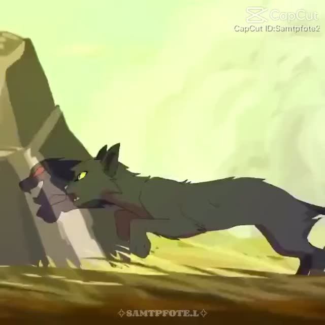 Коты воители