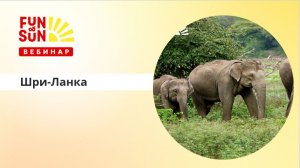 Как предлагать Шри-Ланку клиентам: особенности сезона и уникальные экскурсии