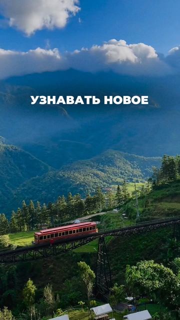 Ты здесь, чтобы жить...❤️ смотреть онлайн
