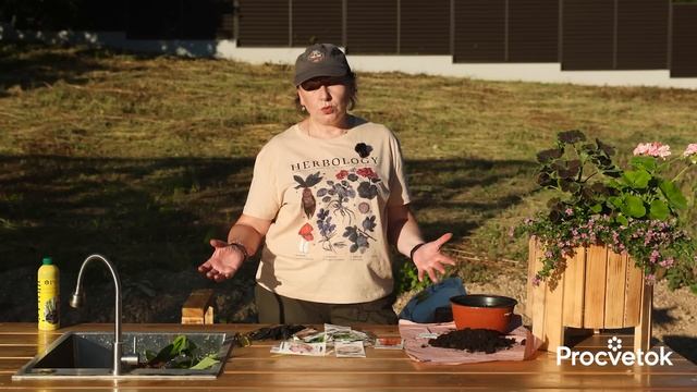 ЭТИ ОВОЩИ И ЦВЕТЫ МОЖНО СЕЯТЬ В ИЮЛЕ! Получите прекрасный урожай и шикарное цветение смотреть онлайн