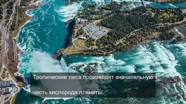 Я ледяной но я таю от воспоминаний 15 смотреть онлайн