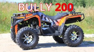 Обзор квадроцикла APAKANI BULLY 200