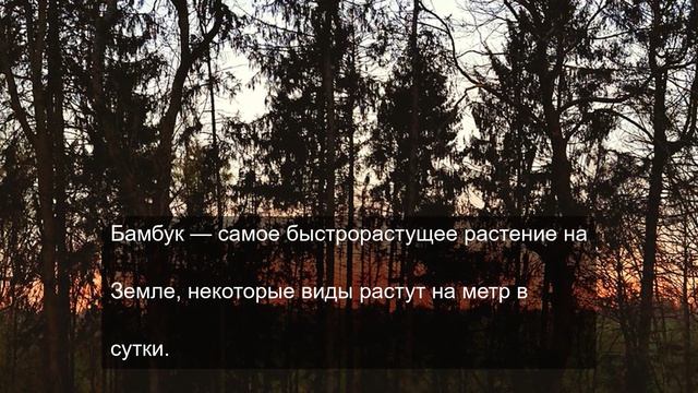 неожиданный кртецкий подгон о природе смотреть онлайн
