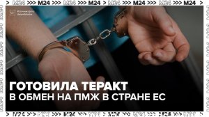 Жительницу Москвы задержали за подготовку теракта против сотрудника органов безопасности - Москва 24
