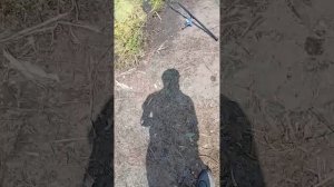 дело было вечером делать было нечего