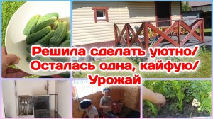 Решила сделать уютно/Осталась одна,кайфую/Наш урожай  Часть 1
