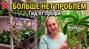 BS Orchids: Больше НИКАКИХ ПРОБЛЕМ с Орхидеями! Полный Гид ПО УХОДУ от Продавца!