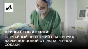 Неизвестный герой! Случайный прохожий спас внука Дарьи Донцовой от разъяренной собаки