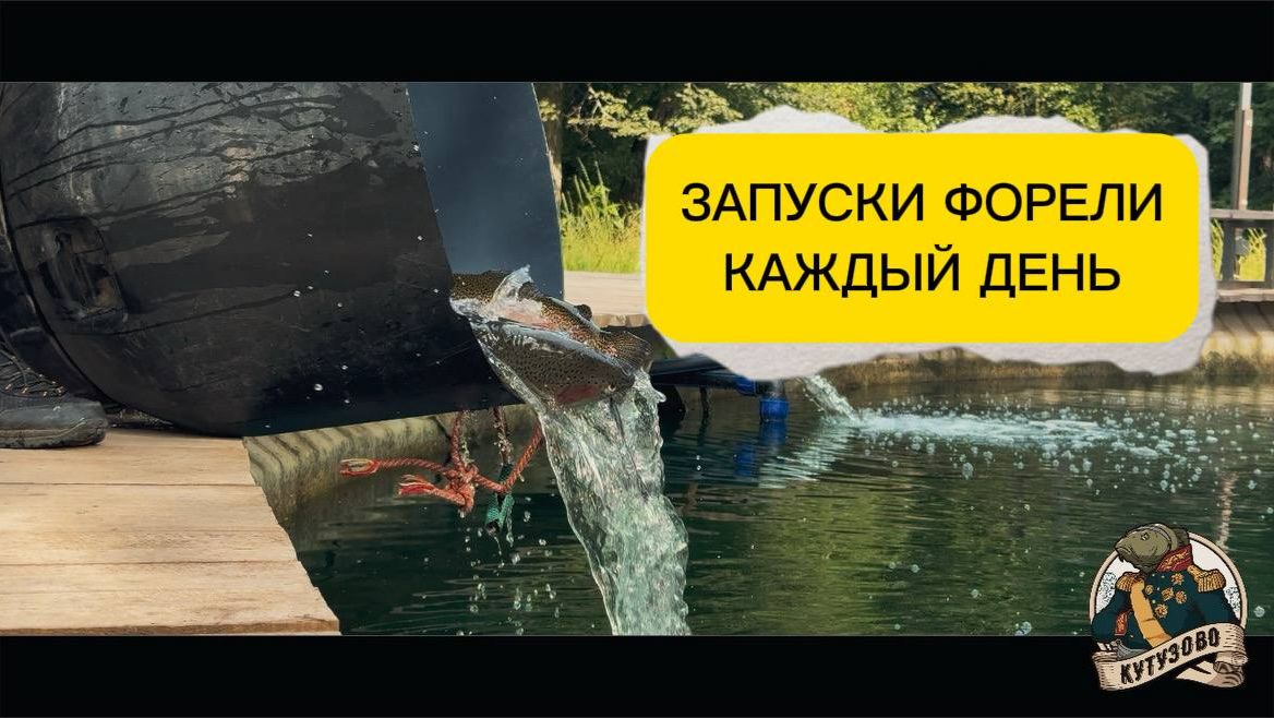 ЗАРЫБЛЕНИЕ ФОРЕЛЬЮ 24 июля смотреть онлайн