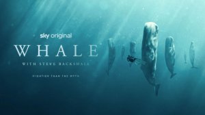 Китообразные со Стивом Бэкшеллом - 2 серия / Whale with Steve Backshall