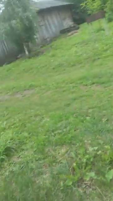па смотреть онлайн