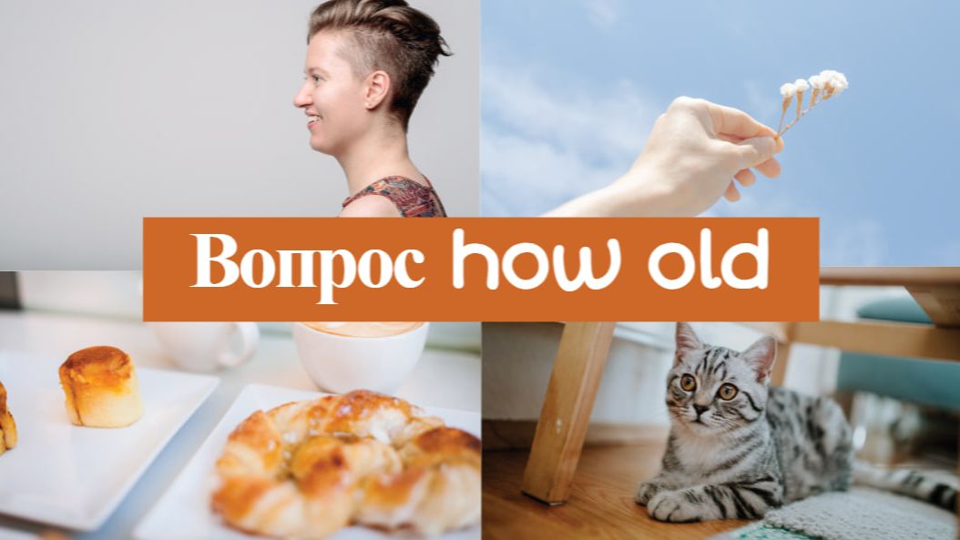 Английский с нуля. Урок 16 из 60. Вопрос how old. смотреть онлайн