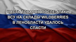 Часть товаров после атаки ВСУ на склады Wildberries в Ленобласти удалось спасти