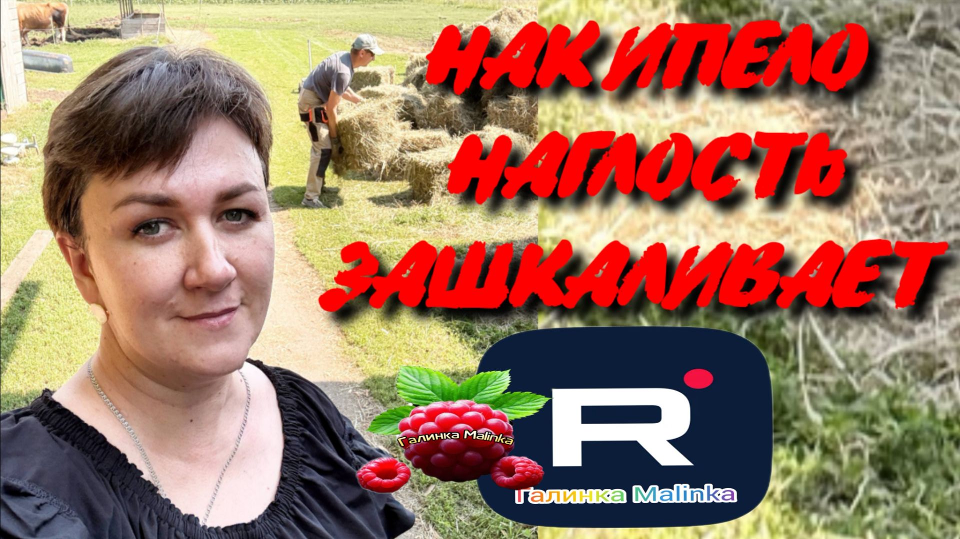Накипело /Наглость зашкаливает /Деревенский дневник очень многодетной мамы /Обзор