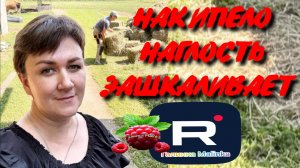Накипело /Наглость зашкаливает /Деревенский дневник очень многодетной мамы /Обзор