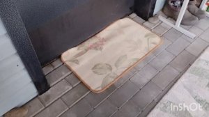 Всего по немножку /как живут в русской деревне....