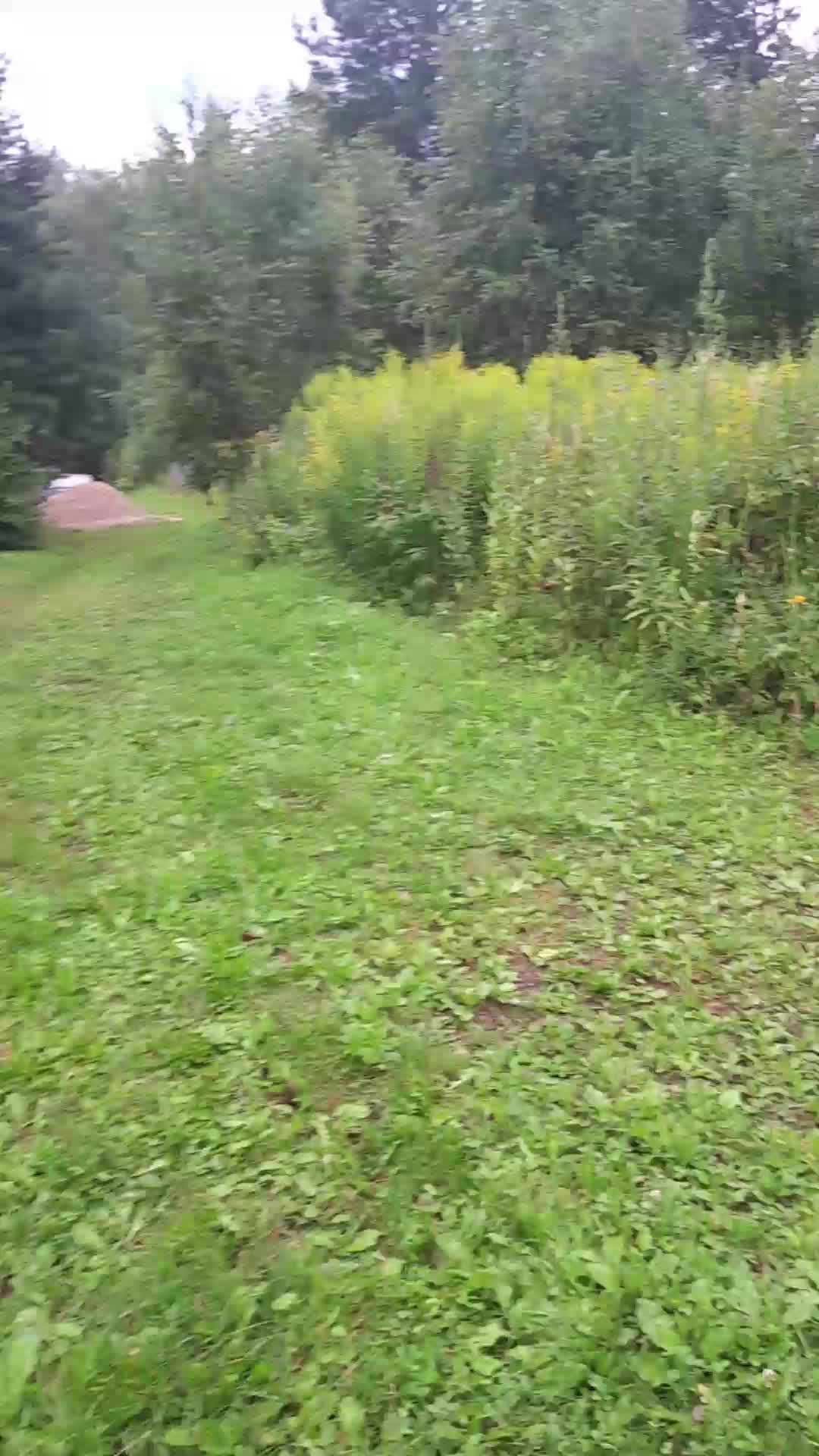 е
