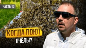 Сбежал с Офиса на Пасеку! Что из этого вышло? Строю пасеку с нуля | Серия 17