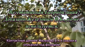 Вегетативная Гибридизация. Доказано Железовым В.К., но неиспользуется.