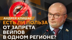 Андрей Клишас. За что будут выдворять мигрантов из России?