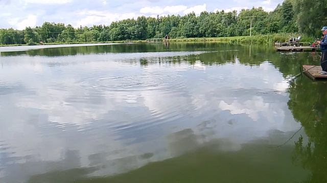 Карповая рыбалка, ловля карпа на 9-м водоёме РК "Фишка Петряиха" смотреть онлайн