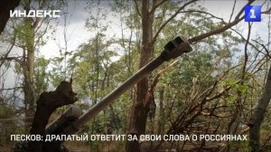 Песков:  Драпатый ответит за свои слова о россиянах