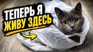 Смех до слёз: лучшие приколы №302