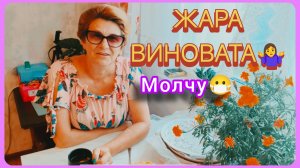 Опустошение. Делаем ставки🫵🙋♀️