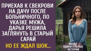 Истории из жизни Приехав к свекрови на дачу после больничного, Дарья решила заглянуть в старый сарай