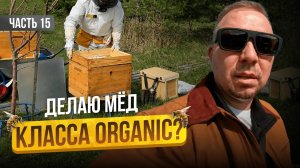 Сбежал с Офиса на Пасеку! Что из Этого Вышло? Строю пасеку с нуля | Серия 15