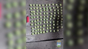 Орловской полицией задержаны четверо наркодельцов, промышлявших сбытом «синтетики» в регионе