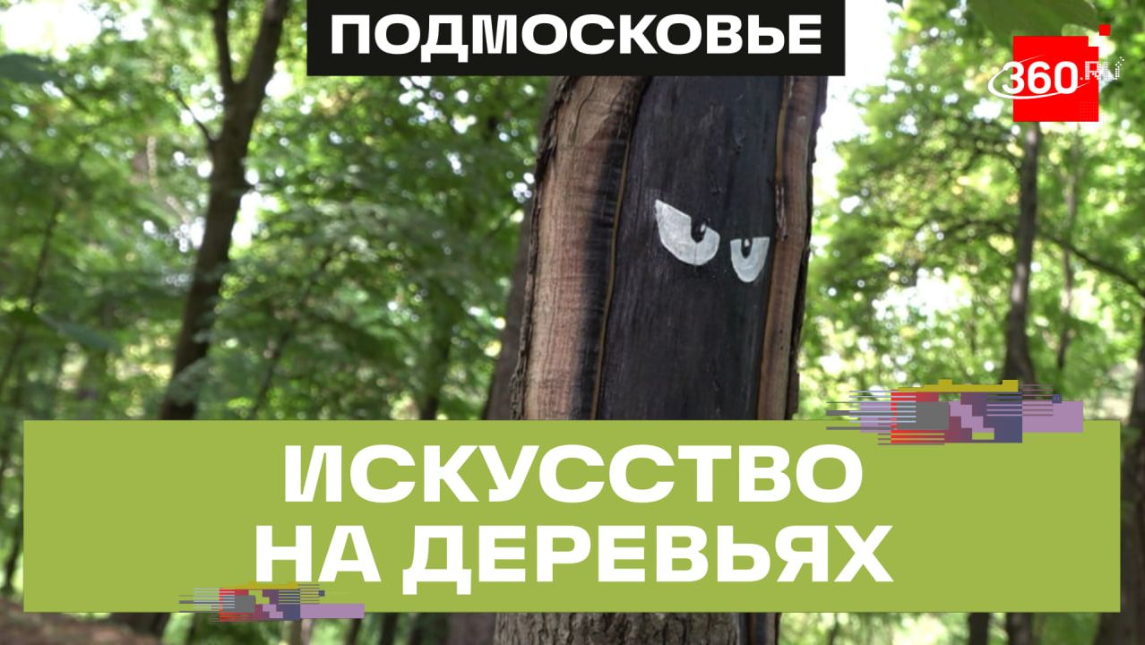 Уличная художница раскрасила деревья в парке Подольска смотреть онлайн