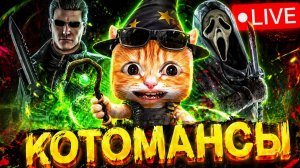 DBD REALITY SHOW: БОЛЬШЕ, ЧЕМ ПРОСТО ДБД 🐾 Dead by Daylight