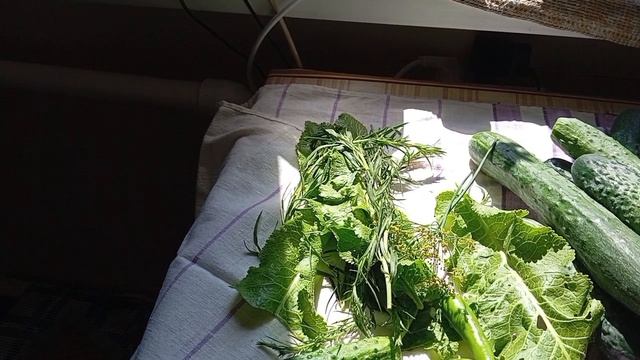 Посолила огурчики 🥒🥒🤭 смотреть онлайн