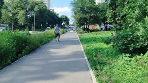 Сергей Милейко - Голуби летят...