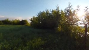 ИЗ ГОРОДА В ДЕРЕВНЮ.