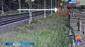 Вести Санкт-Петербург. Выпуск 07.35 от 24.07.2026