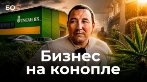 Конопляный бум: в Татарстане построили завод по переработке необычной культуры