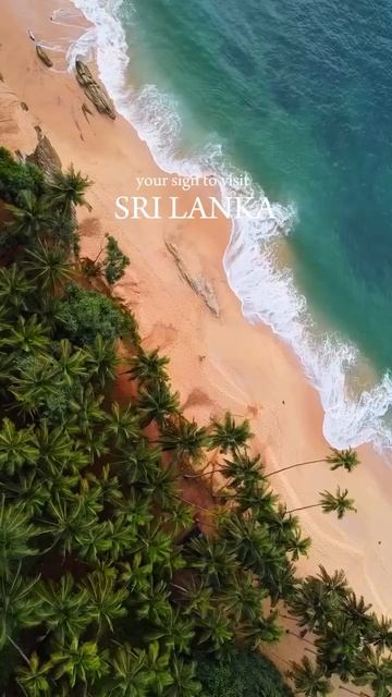 Путешествие по Шри-Ланке 🇱🇰 смотреть онлайн