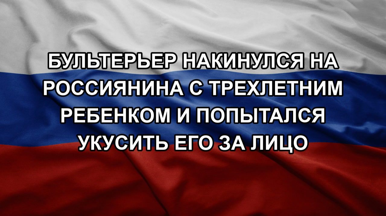 Бультерьер накинулся на россиянина с трехлетним ребенком и попытался укусить его за лицо смотреть онлайн