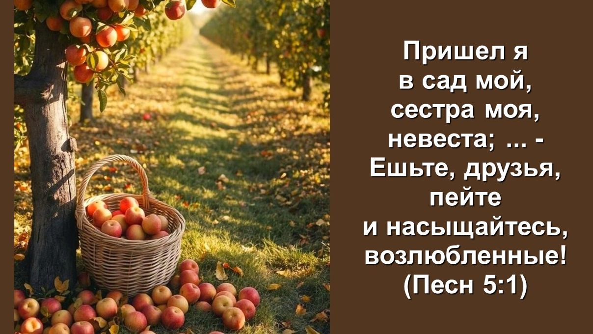 Пришел я в сад мой, сестра моя, невеста; ... - Ешьте, друзья, пейте и насыщайтесь...
