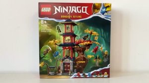 ОБЗОР ЛЕГО НИНДЗЯГО 71795 Храм Энергетических Ядер Дракона LEGO NINJAGO Temple of the Energy Cores