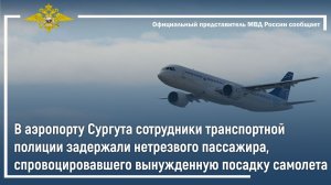 В аэропорту Сургута сотрудники транспортной полиции задержали нетрезвого пассажира