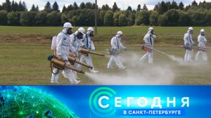 «Сегодня в Санкт-Петербурге»: 24 июля 2026 года