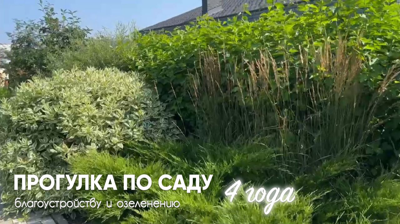 Лето — время авторского надзора